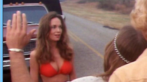Pic: Catherine Bach in The Dukes of Hazzard