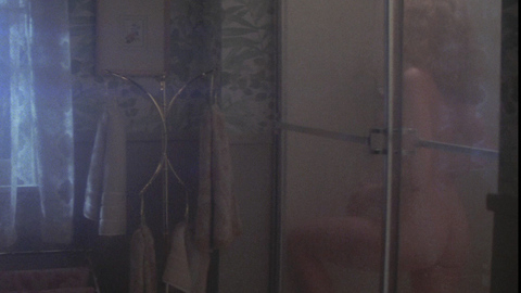 Pic: Nancy Allen in Dressed to Kill