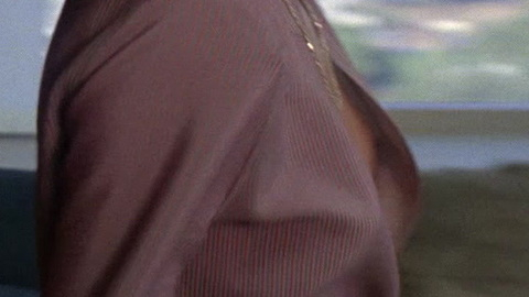 Pic: Kirstie Alley in Blind Date