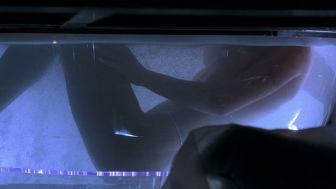 Pic: Pamela Anderson in Barb Wire