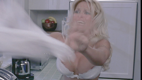 Pic: Pamela Anderson in Scary Movie 3