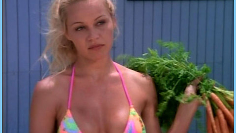 Pic: Pamela Anderson in Baywatch