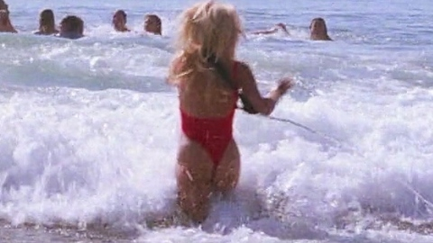 Pic: Pamela Anderson in Baywatch (1989-2001)