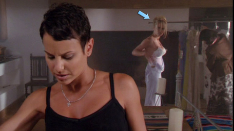 Pic: Pamela Anderson in V.I.P.