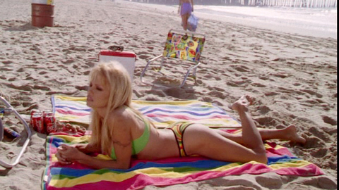 Pic: Pamela Anderson in V.I.P.