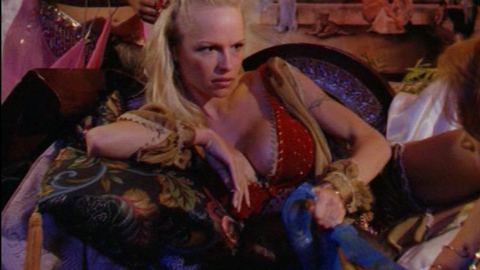 Pic: Pamela Anderson in V.I.P.