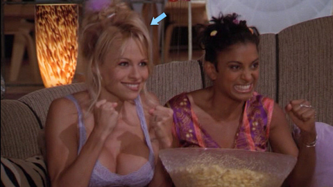 Pic: Pamela Anderson in V.I.P.