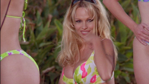 Pic: Pamela Anderson in V.I.P.