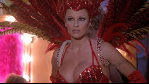 Pic: Pamela Anderson in V.I.P.