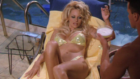 Pic: Pamela Anderson in V.I.P.