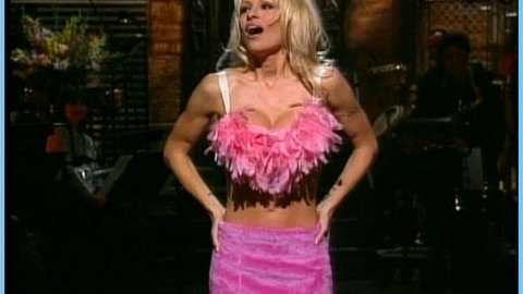 Pic: Pamela Anderson in Comedy Central Roast of Pam Anderson