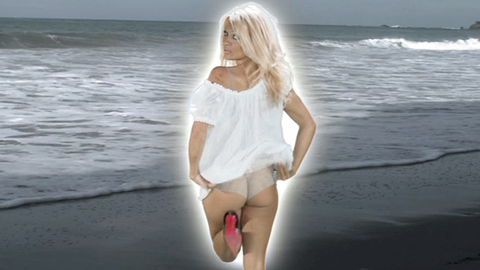 Pic: Pamela Anderson in Costa Rican Summer (2010)