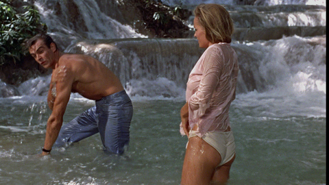 Pic: Ursula Andress in Dr. No