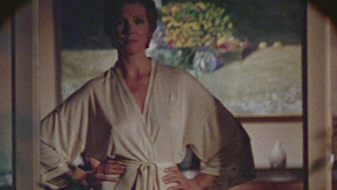 Pic: Julie Andrews in 10