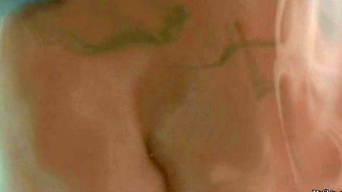 Pic: Gabrielle Anwar in The Guilty