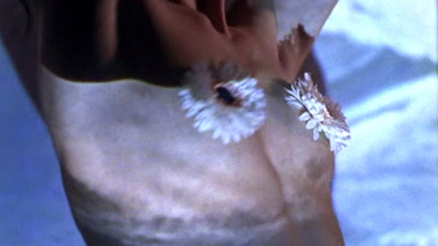 Pic: Gabrielle Anwar in Board Heads