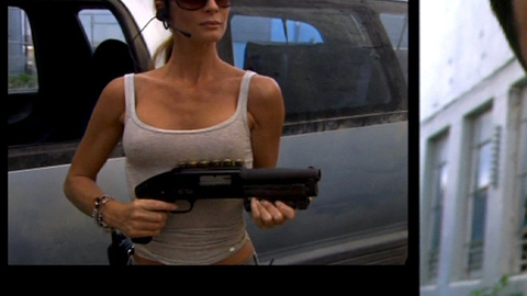 Pic: Gabrielle Anwar in Burn Notice