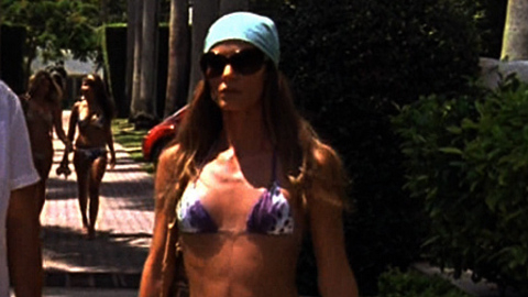 Pic: Gabrielle Anwar in Burn Notice