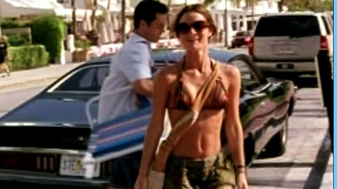 Pic: Gabrielle Anwar in Burn Notice