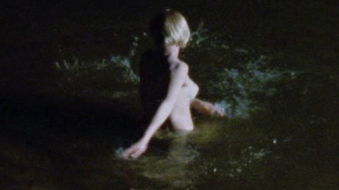Pic: Patricia Arquette in Wildflower