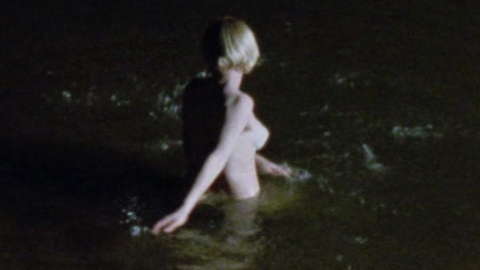 Pic: Patricia Arquette in Wildflower