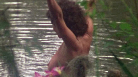 Pic: Adrienne Barbeau in Swamp Thing