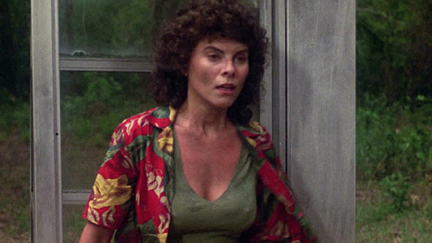 Pic: Adrienne Barbeau in Swamp Thing