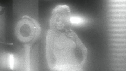 Pic: Brigitte Bardot in Please, Not Now!