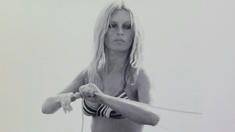 Pic: Brigitte Bardot in Smash His Camera