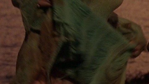 Pic: Ellen Barkin in Bad Company