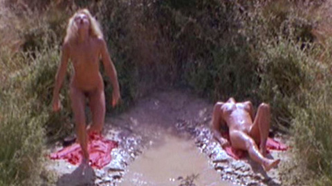 Pic: Ellen Barkin in Siesta