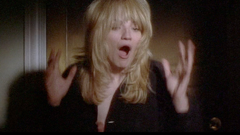 Pic: Ellen Barkin in Switch