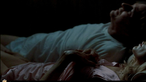 Pic: Kim Basinger in The Burning Plain (2008)