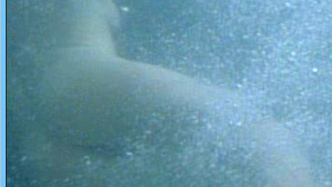 Pic: Kate Beckinsale in Haunted