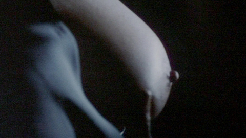 Pic: Bonnie Bedelia in Judicial Consent