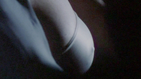 Pic: Bonnie Bedelia in Judicial Consent (1994)