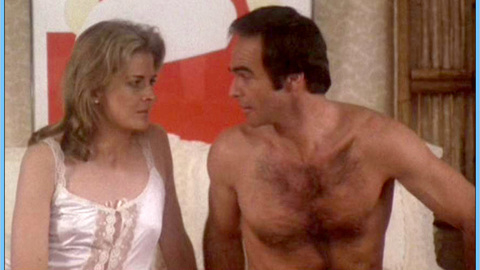 Pic: Candice Bergen in Starting Over