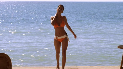 Pic: Halle Berry in Die Another Day