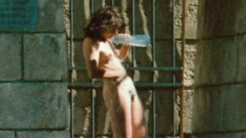Pic: Juliette Binoche in The Lovers on the Bridge
