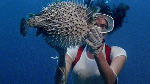 Pic: Jacqueline Bisset in The Deep