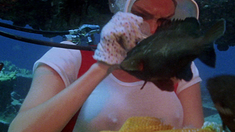 Pic: Jacqueline Bisset in The Deep
