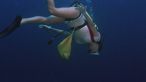 Pic: Jacqueline Bisset in The Deep