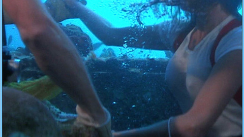 Pic: Jacqueline Bisset in The Deep