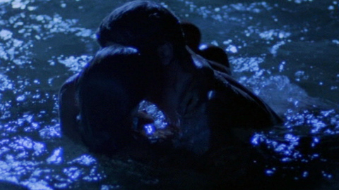 Pic: Jacqueline Bisset in High Season