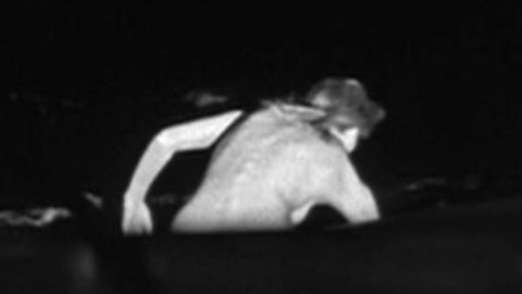 Pic: Barbara Bouchet in In Harm's Way