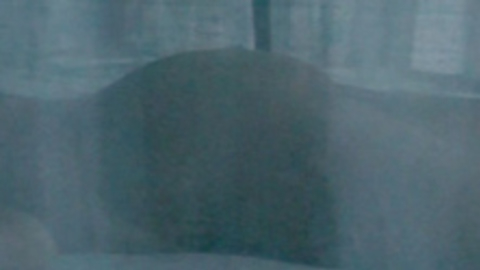 Pic: Carole Bouquet in Unforgivable