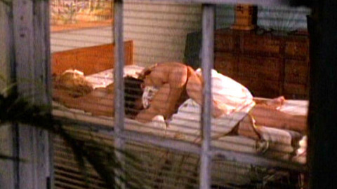 Pic: Lorraine Bracco in Traces of Red