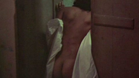 Pic: Sonia Braga in Dona Flor and Her Two Husbands