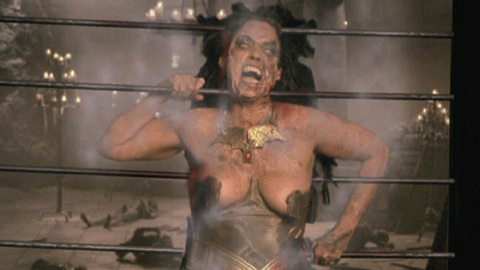 Pic: Sonia Braga in From Dusk Till Dawn 3