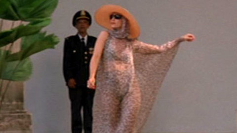 Pic: Sonia Braga in Moon Over Parador